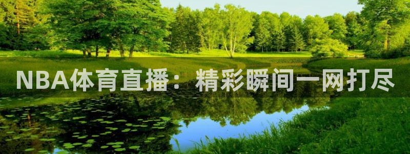 NBA体育直播：精彩瞬间一网打尽