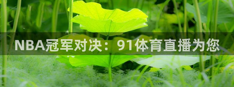 NBA冠军对决：91体育直播为您
