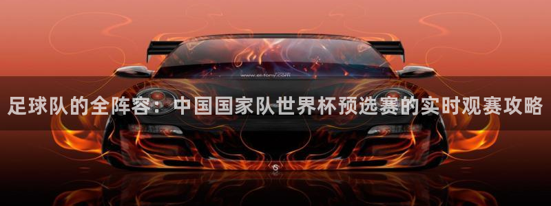 足球队的全阵容：中国国家队世界杯预选赛的实时观赛攻略