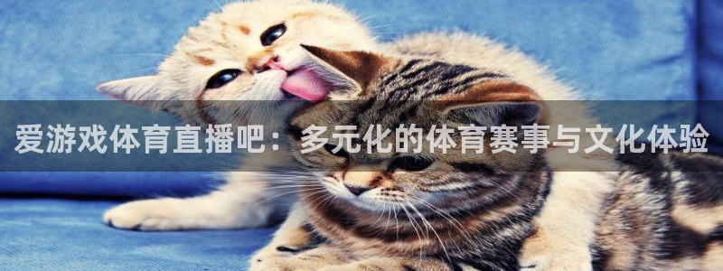 爱游戏体育直播吧：多元化的体育赛事与文化体验